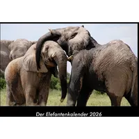 Vero Kalender Der Elefantenkalender 2026 Fotokalender DIN A3 von
