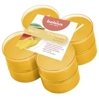 Bolsius Duftteelichter Maxi True Scents 8 St. orange