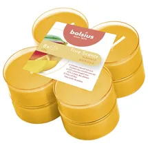 Bolsius Duftteelichter Maxi True Scents 8 St. orange