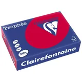 Clairefontaine Trophee A4 210 g/m2 250 Blatt