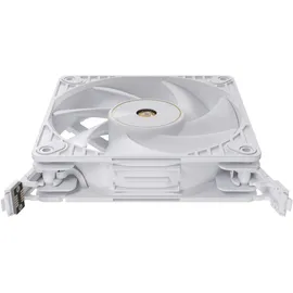 Asus ProArt PF120 Triple Pack Gehäuselüfter weiß, 120 mm, PWM White 3in1 (90DA00M3-B09020)