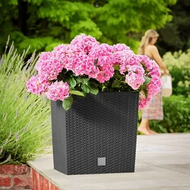 Prosperplast Rato Low 40 x 40 x 40,8 cm anthrazit