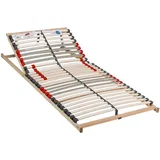 Visionight Lattenrost, Holz, Kunststoff, Birke, Buche,Birke, Buche, Schichtholz, vollmassiv,Schichtholz, 7-Zonen, 120x200 cm, Grüner Punkt, Made in Germany, V-Label Vegan, bewegliche Leistenlagerung, Federleisten mit Triokappen, Mittelgurt, individuelle Liegehärteeinstellung, verstellbar, alternative Größen erhältlich, Schlafzimmer, Lattenroste, Lattenrost verstellbar