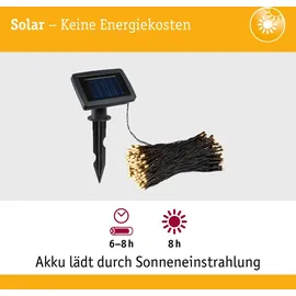 Paulmann Lichterkette Kunststoff, Metall 21,9 m 200 LEDs inkl. Dämmerungssensor schwarz