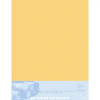 Clairefontaine Zeichenpapier Pastelmat 70 x 100 cm 5 Blatt Buttercup