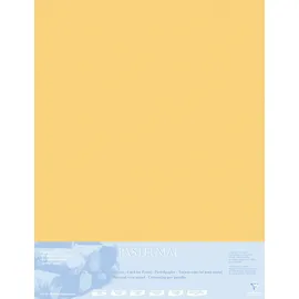 Clairefontaine Zeichenpapier Pastelmat 70 x 100 cm 5 Blatt Buttercup