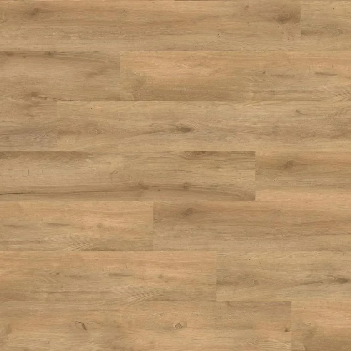 Wineo 1500 wood XL - Melbourne Oak Natural PL15223WXL |...