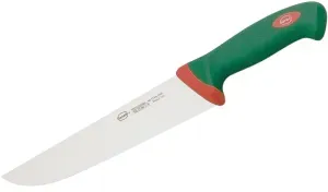 Sanelli Küchenmesser, grüner Griff, Gastromesser mit Edelstahlklinge, Klingenlänge: 22 cm