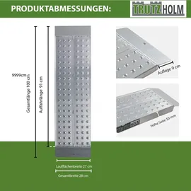 Trutzholm Auffahrrampe 540 kg