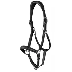 Dyon Working Collection 2 in 1 Transport u. Stallhalfter aus Leder