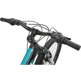 Bikestar MTB Vollstahl 21fach 24 Zoll schwarz/benzin schwarz, 33, CM