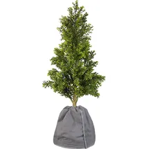 Royal Gardineer XL-Thermo-Topfschutz für Pflanzen, 70 x 65 cm