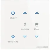 Busch-Jaeger Bedienelement TB/U6-CG