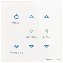 Busch-Jaeger Bedienelement TB/U6-CG