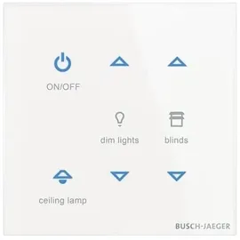 Busch-Jaeger Bedienelement TB/U6-CG