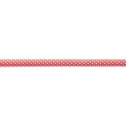 Edelrid Dynamikseil Dynamite, red