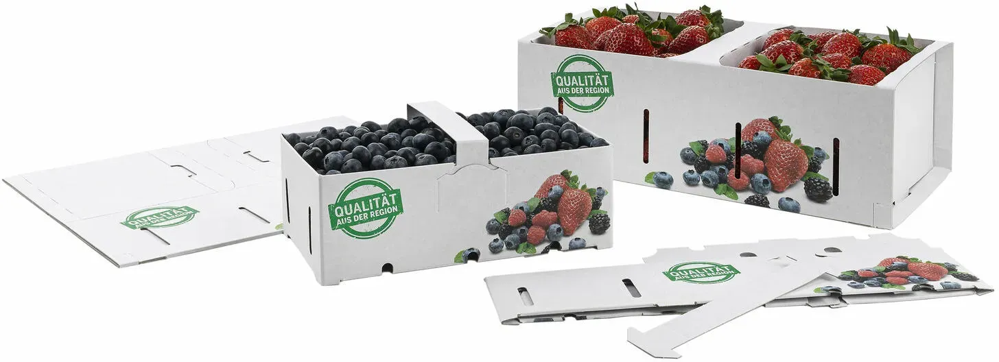 Obstkörbe Beerenkörbe aus Pappe 350x159x118mm mit Neutraldruck für 2,0-2,5 KG