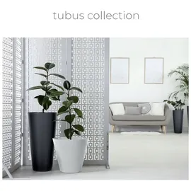 Prosperplast Tubus Slim 40 x 40 x 76,2 cm Weiß