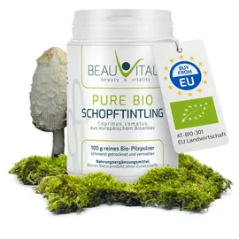 BEAUVITAL Pure Bio Schopftintling Pulver 100 g