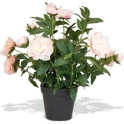 Pfingstrosen - Paeonia Kunstpflanze rosa