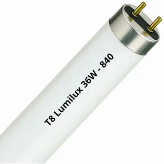 Osram Lumilux T8 L 36W/840 G13
