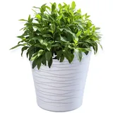 Kadax Ø 15 x 15 cm Weiß