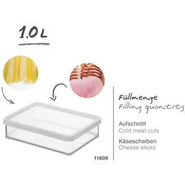 Rotho Dose Loft 1 l Transparent/Weiß