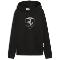 Puma Hoodie Schwarz M