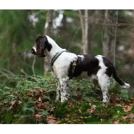 Non-Stop Dogwear Hundegeschirr Line Harness 5.0 Rachel Pohl Signature Edition, teal/oak