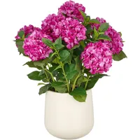 Creativ green Kunstpflanze Hortensie, Creativ green, Höhe 70 cm,