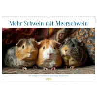 Calvendo Mehr Schwein mit Meerschwein (Wandkalender 2026 DIN A3