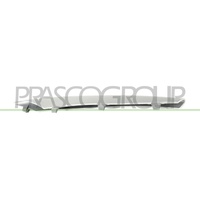 PRASCO BM8221243