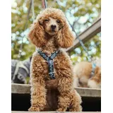 Hurtta Razzle-Dazzle Y-Geschirr für Hunde, 100% recyceltes Polyester, blau, 55-65 cm