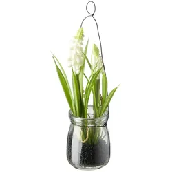 Hyazinthe in Glasvase   , weiß , Kunststoff,Glas,Metall , Maße (cm): H: 21  Ø: 6