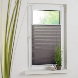 LIEDECO Plissee LIEDECO "Pastell" Gr. 4, grau, B:75cm H:150cm, Obermaterial: 100% Polyester, Plissees, Klemmfix-Plissee, Pastell