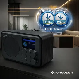 Ferguson Regent i101 schwarz