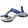 Veribor Saugheber Aluminium 70 kg blau