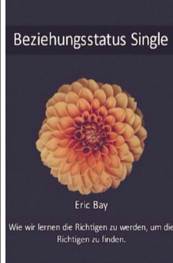 Beziehungsstatus Single - Eric Bay  Kartoniert (TB)