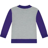 Onomato! Paw Patrol Skye Everest Kinder Mädchen Collegejacke Übergangsjacke | 98/104