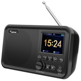 Leicke tragbares DAB+ Radio mit Bluetooth 5.0 | DAB/DAB+ und UKW Radio, 2,4" Farbdisplay, 80 Voreinstellungen, Küchenradio mit Kabel oder 2000mAh Akkubetrieb, MicroSD/TF/AUX Anschluss,