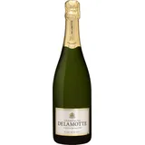 Champagne Delamotte Blanc de Blancs Brut