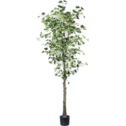Kunstpflanze CREATIV GREEN "Gingkobaum", grün, H:210cm, Kunstpflanzen, mit detailgetreuem Blattwerk