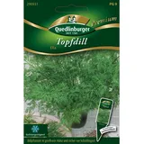 Quedlinburger Saatgut Topfdill Samen