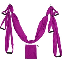 Aerial Yoga Hängematte, Aerial Yoga Swing Set mit Aufbewahrungsbeutel, Karabinerhaken, Yoga Starter Kit für alle Level, Yoga Hängematte Trapez Verlängerung, Aerial Yoga Swing Sling (Purple)