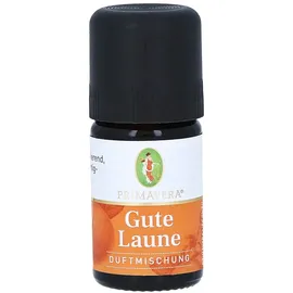 Primavera Gute Laune Duftmischung ätherisches Öl