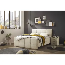 ed exciting design Boxbett / Polsterbett 160x200cm inkl. Bettkasten Creme - Creme