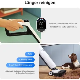 Roborock Flexi Lite