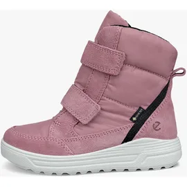 ECCO Urban Snowboarder GTX Winterstiefel, Blush, 35