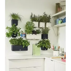 LECHUZA Green Wall Home Kit Color 48 x 15 x 14 cm weiß