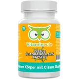 Vitamineule Cissus Quadrangularis Kapseln 90 St.